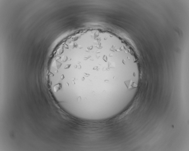 X0000112961328200910081037