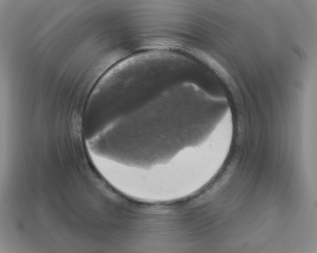 X0000112961329200910081037