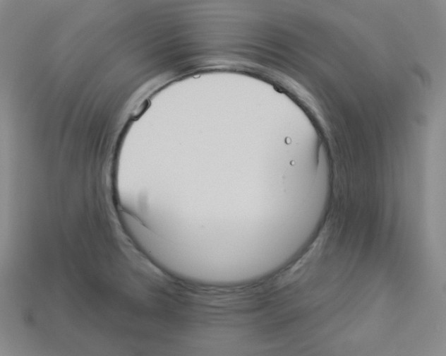 X0000112961330200910081037