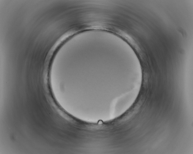 X0000112961331200910081037