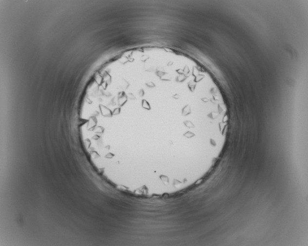 X0000112961332200910081037