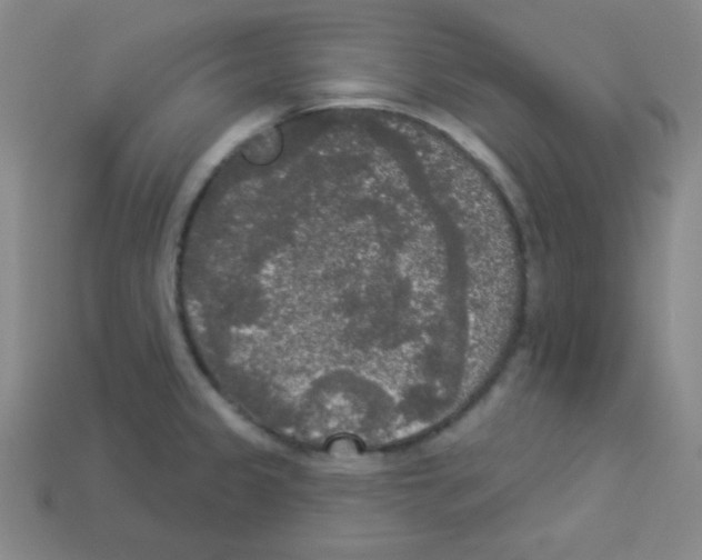 X0000112961333200910081037