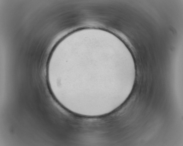 X0000112961335200910081037