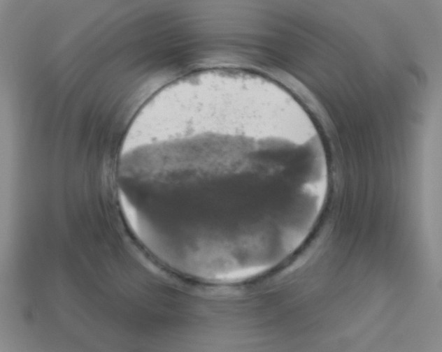 X0000112961337200910081037