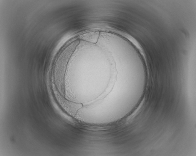 X0000112961338200910081037