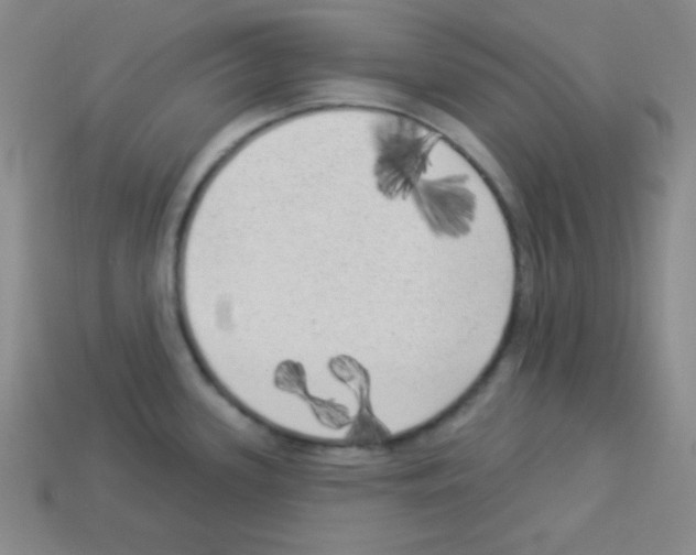 X0000112961339200910081037