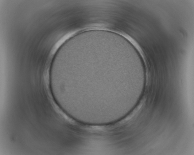 X0000112961341200910081037