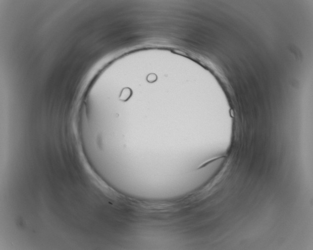 X0000112961342200910081037