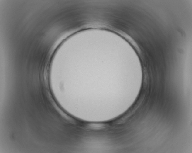 X0000112961343200910081038