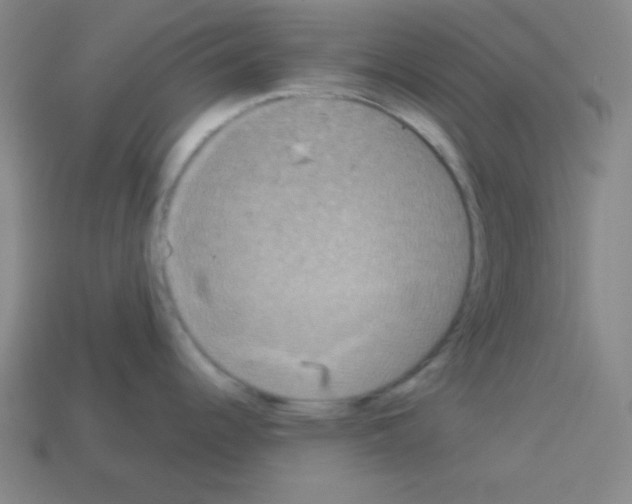 X0000112961344200910081038