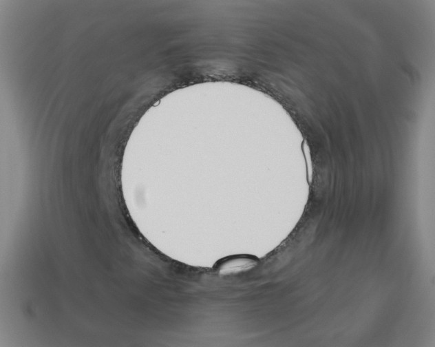 X0000112961345200910081037