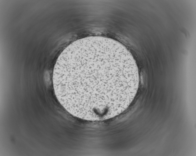 X0000112961347200910081037