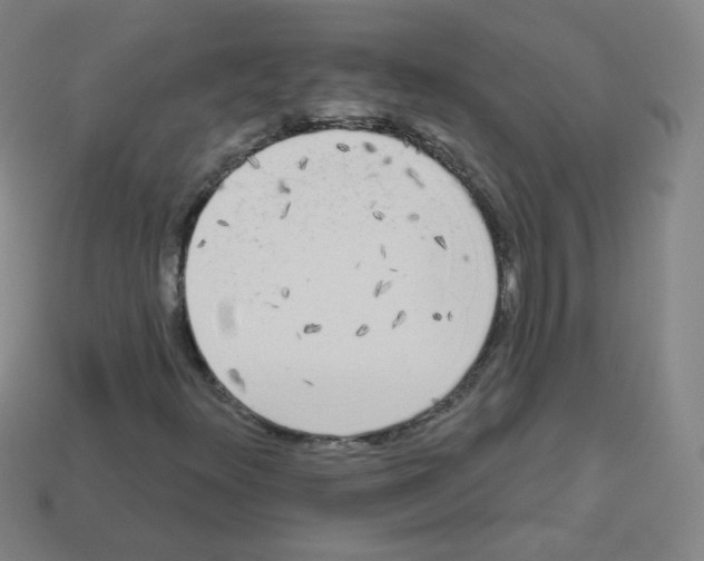 X0000112961348200910081037