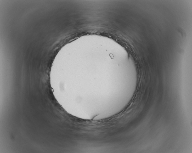 X0000112961349200910081037