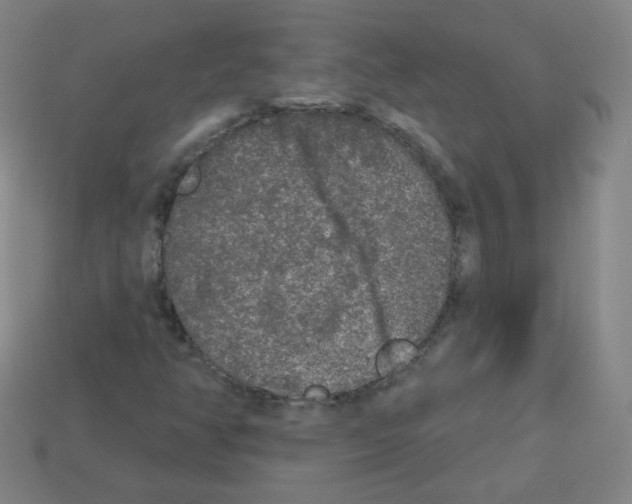 X0000112961350200910081037