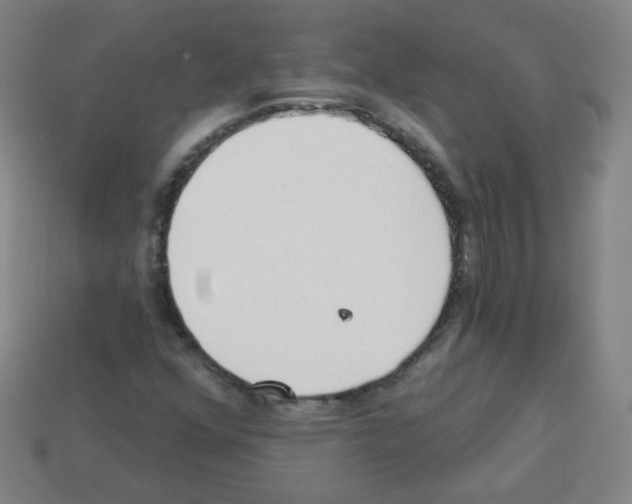 X0000112961352200910081037