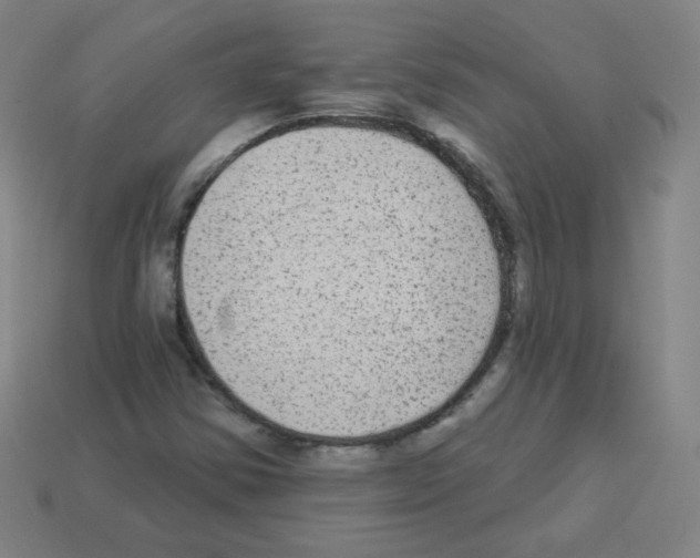 X0000112961354200910081037