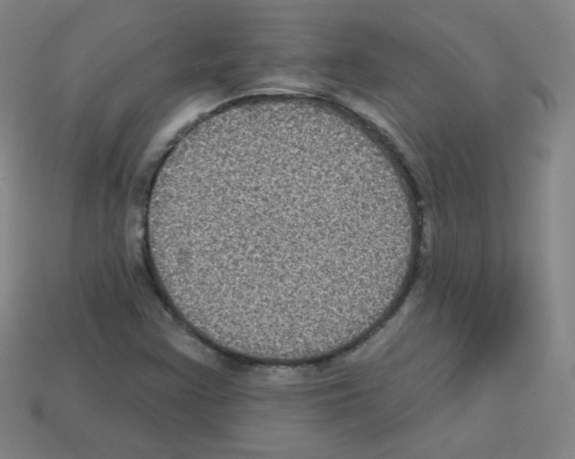 X0000112961355200910081037