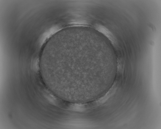 X0000112961357200910081037