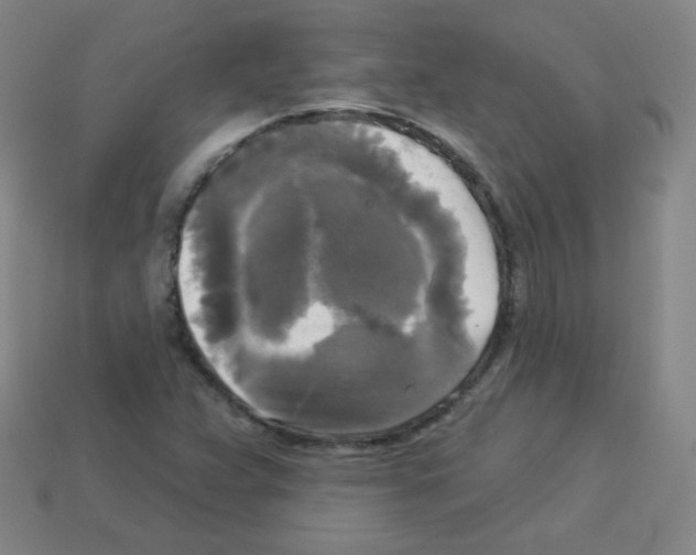 X0000112961359200910081037