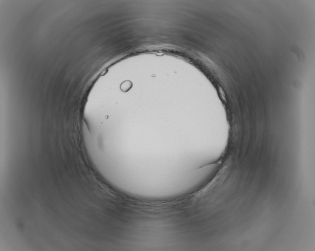 X0000112961361200910081037