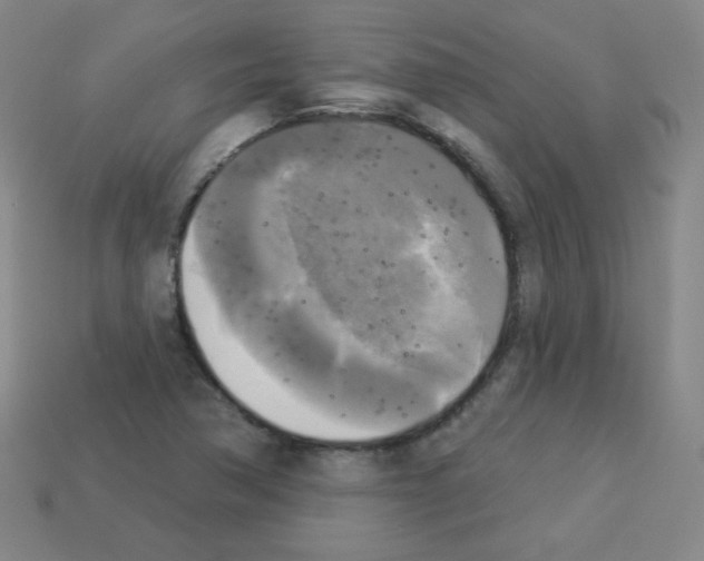 X0000112961362200910081037