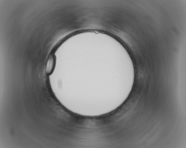 X0000112961364200910081037