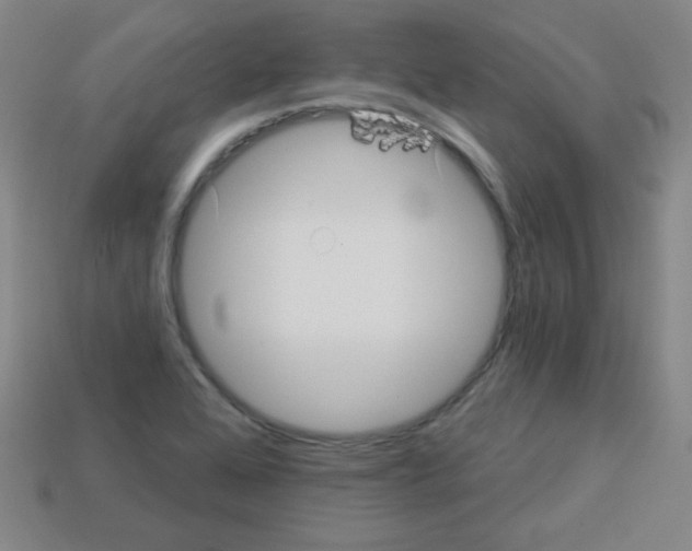 X0000112961368200910081037