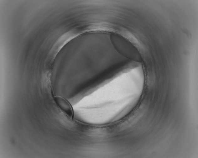 X0000112961369200910081037