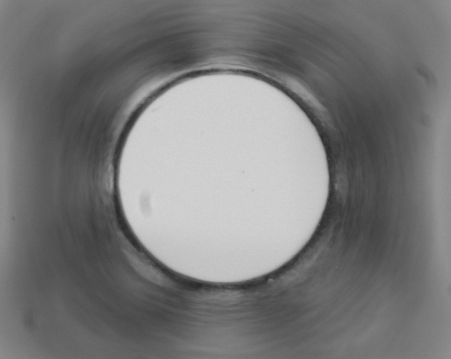 X0000112961372200910081037