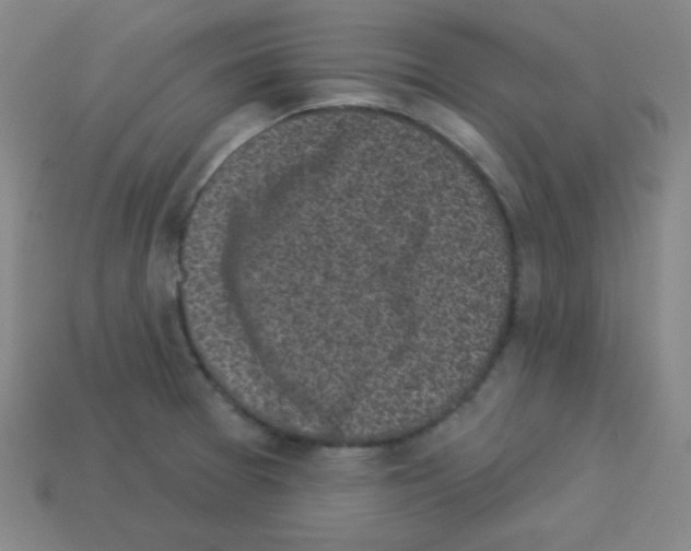 X0000112961377200910081037