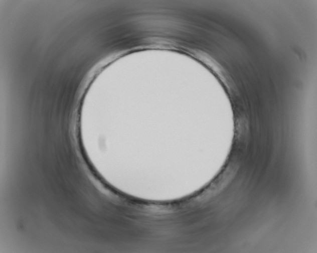 X0000112961379200910081036