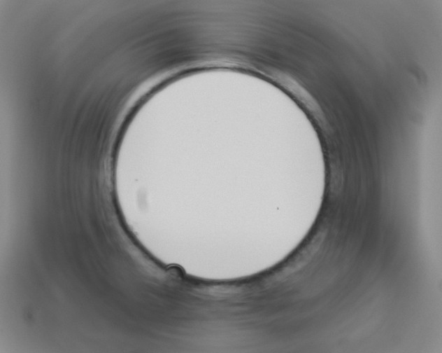 X0000112961380200910081036