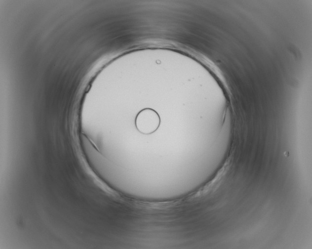 X0000112961381200910081036