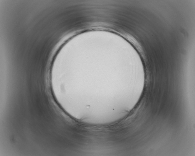 X0000112961384200910081036