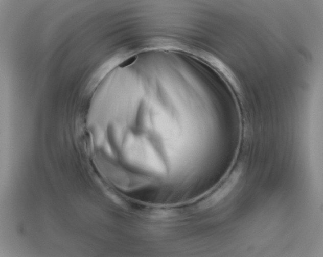 X0000112961385200910081036