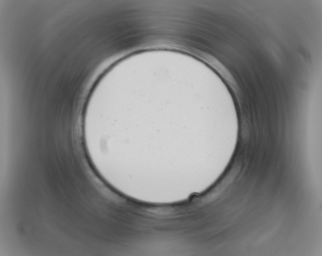 X0000112961388200910081036