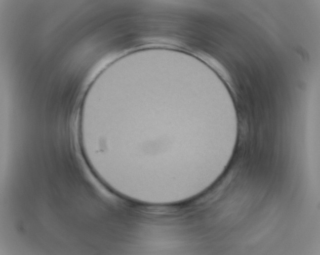 X0000112961391200910081036