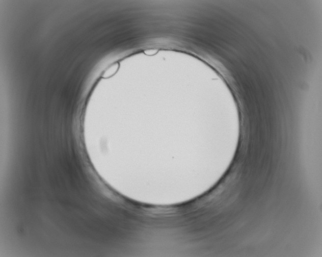 X0000112961392200910081036