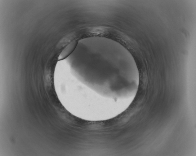 X0000112961394200910081036