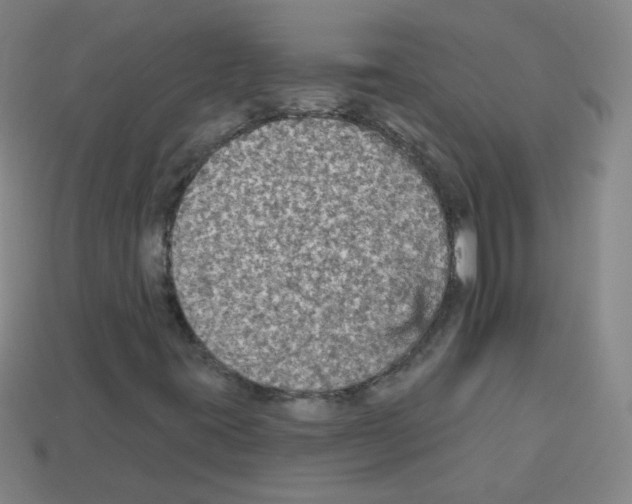 X0000112961395200910081036