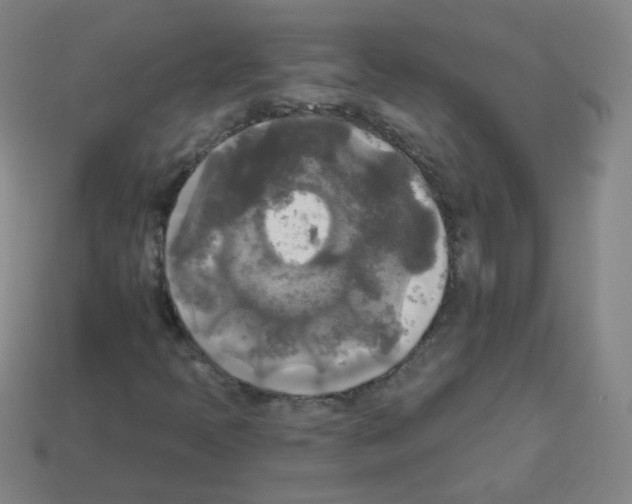 X0000112961397200910081036