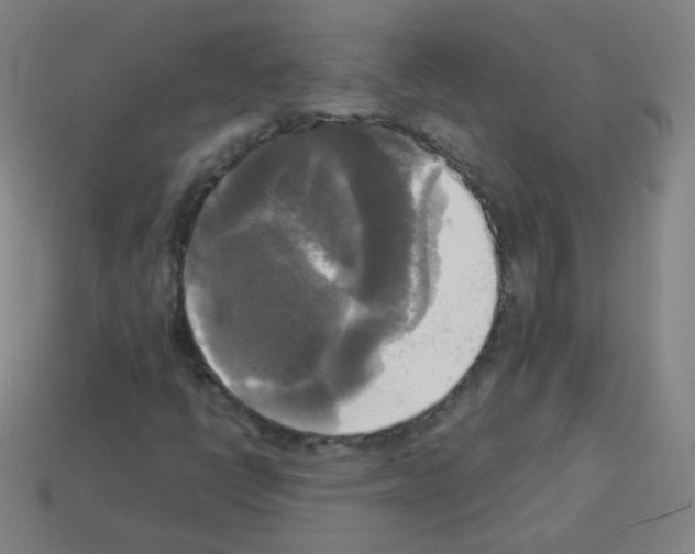 X0000112961398200910081036