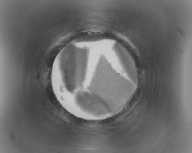 X0000112961399200910081036