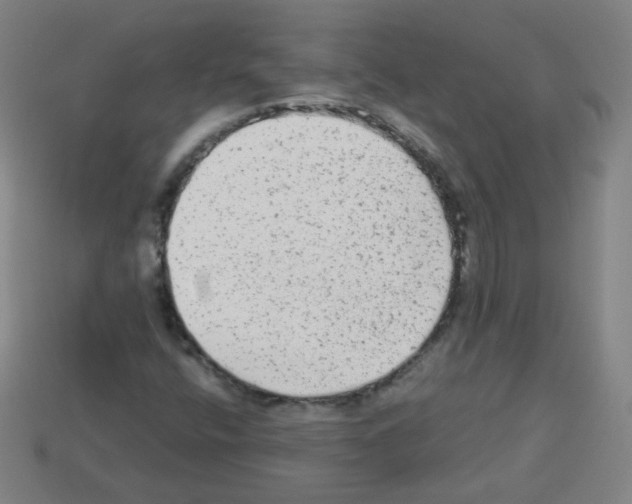 X0000112961400200910081036