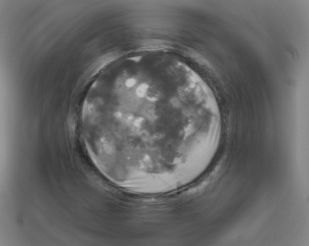 X0000112961401200910081036