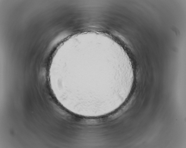 X0000112961402200910081036