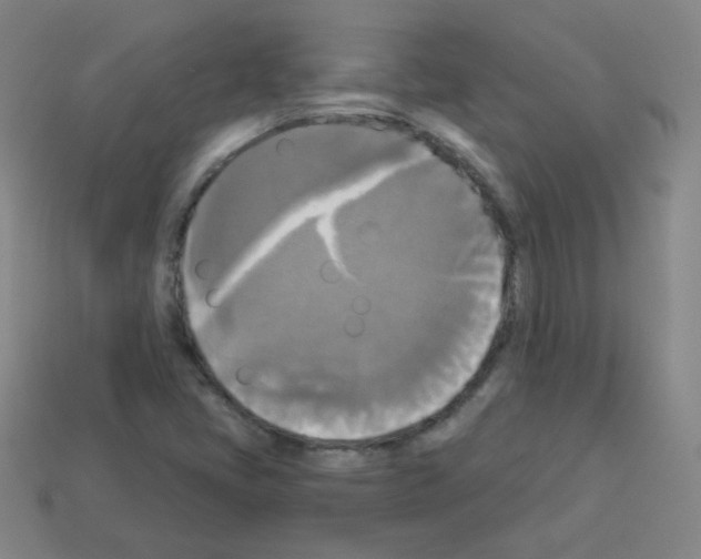 X0000112961405200910081036