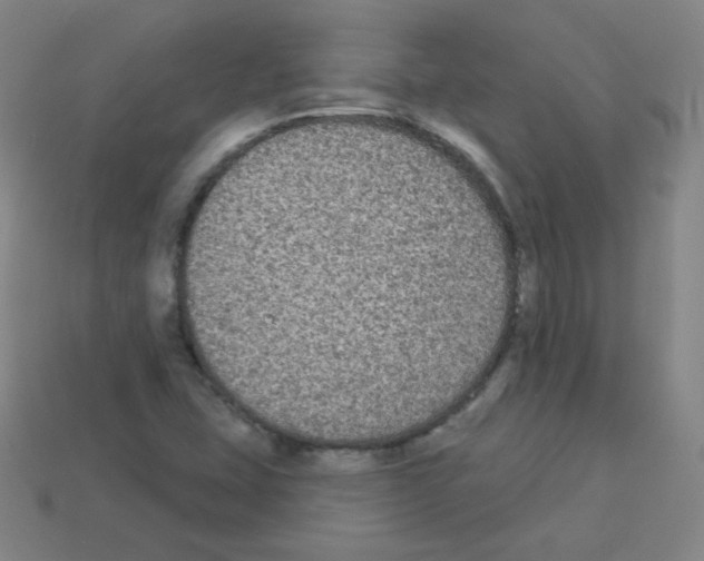 X0000112961407200910081036