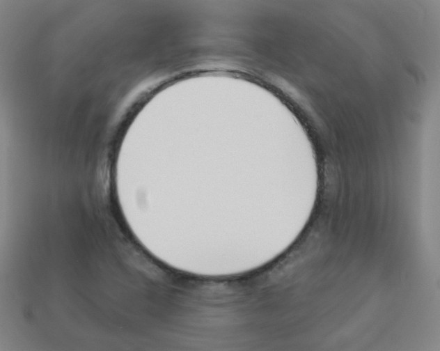 X0000112961408200910081036